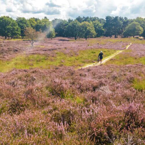 contact afbeelding veluwse heide