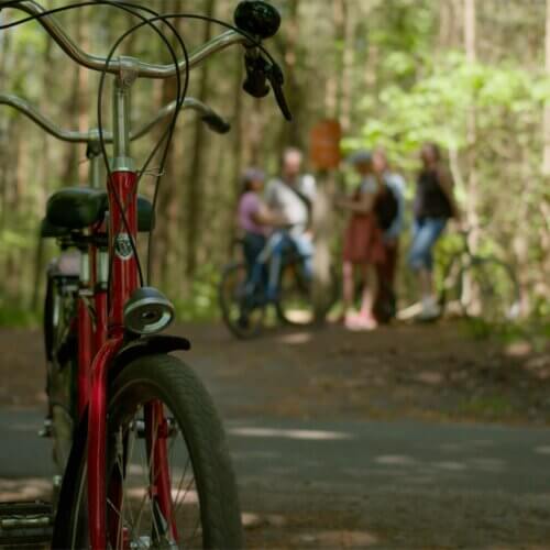 fiets in het bos