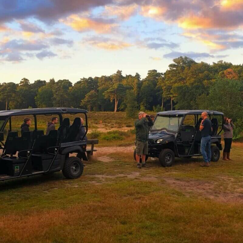 Eco safari en veluwe dropping