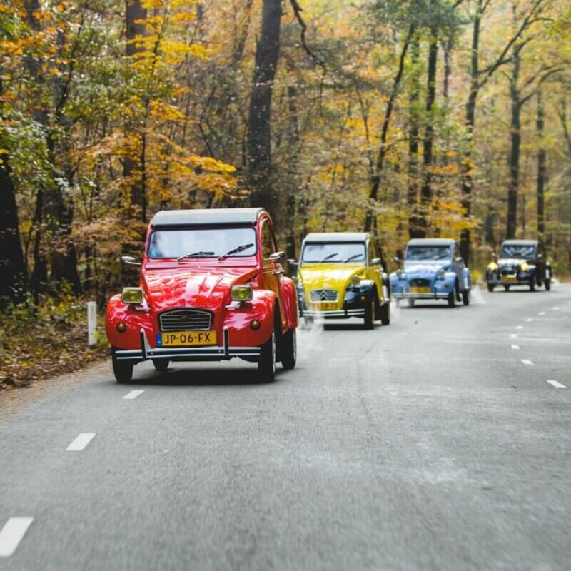 lelijke eend experience per auto