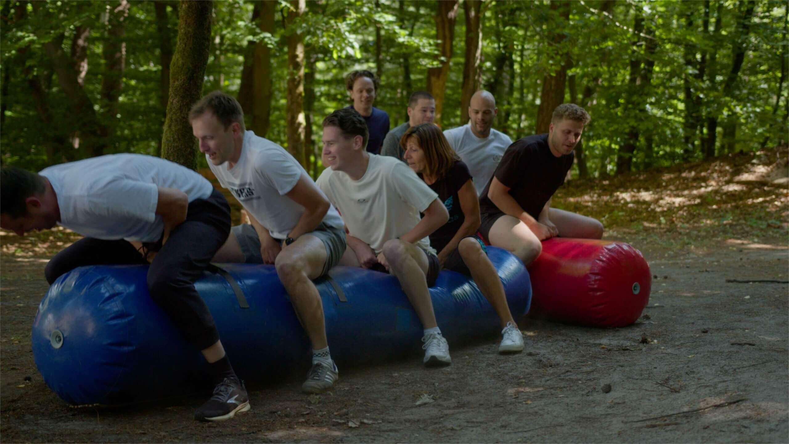 afbeelding van zeskamp