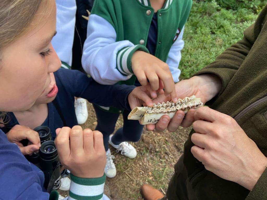 Lelijke eend, eco safari wissel programma