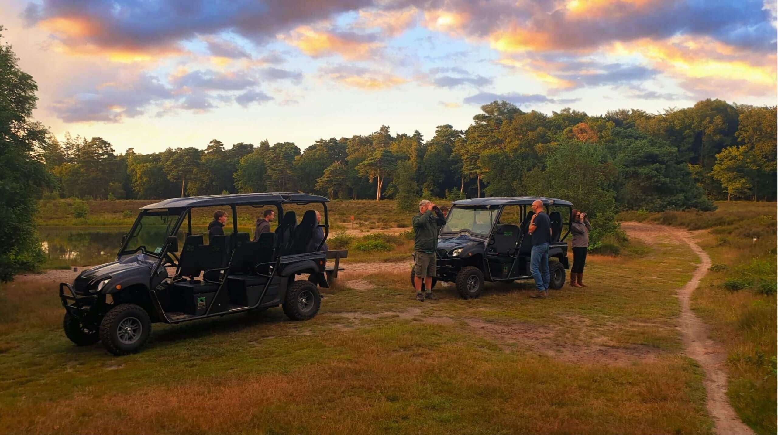 Wat te doen op de veluwe