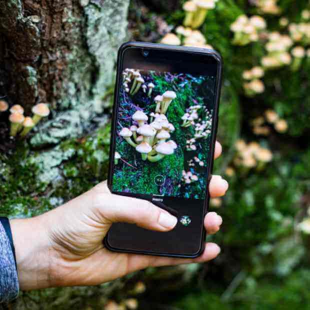 Workshop smartphonefotografie