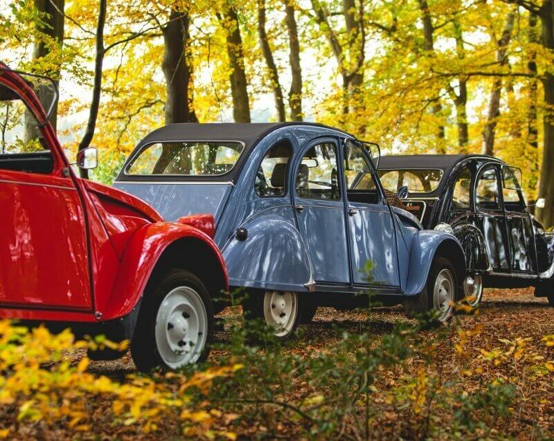 Verhuur Lelijke Eend online