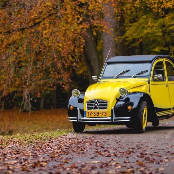 Verhuur Lelijke Eend online