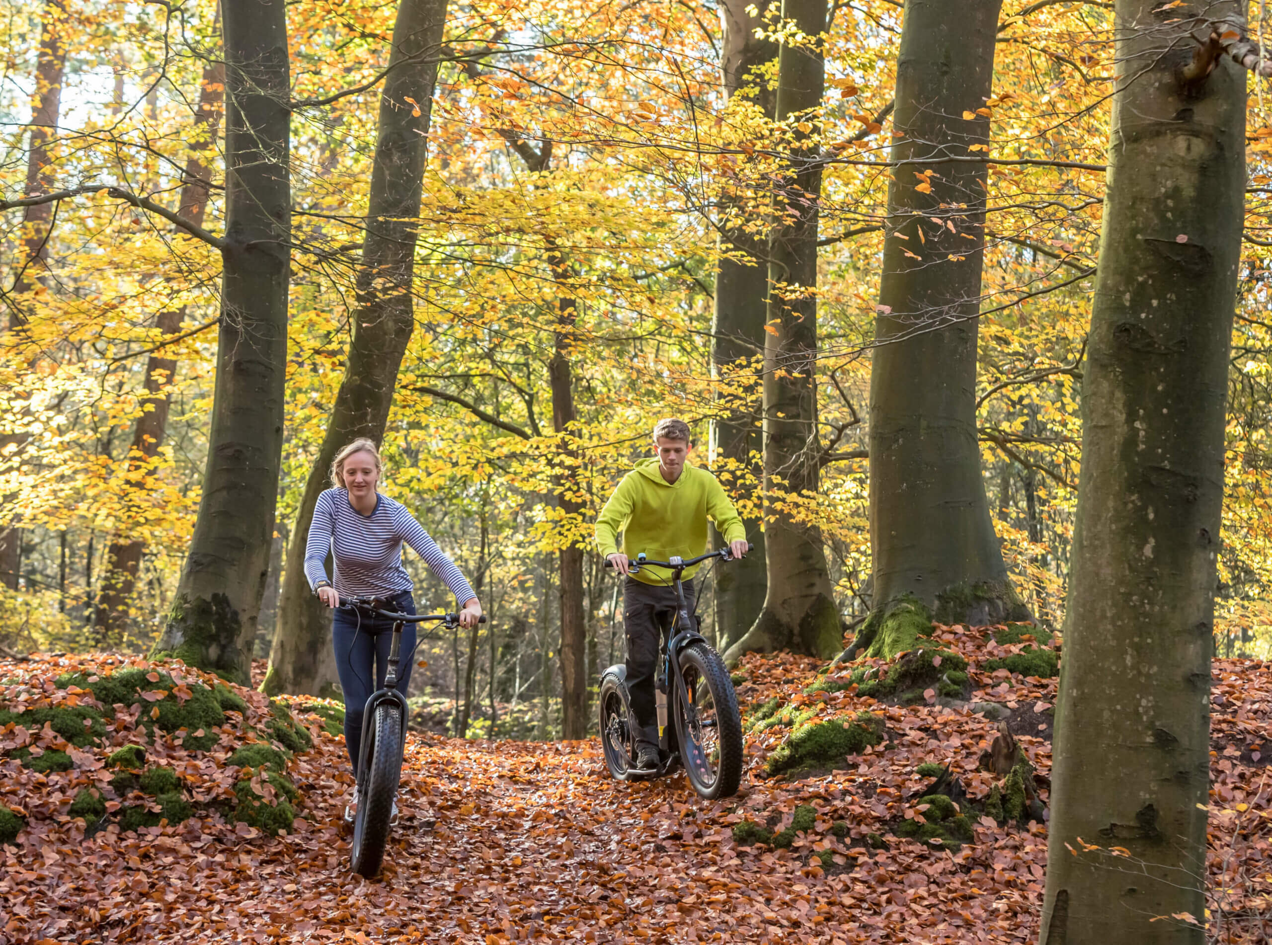 fat max in de winter