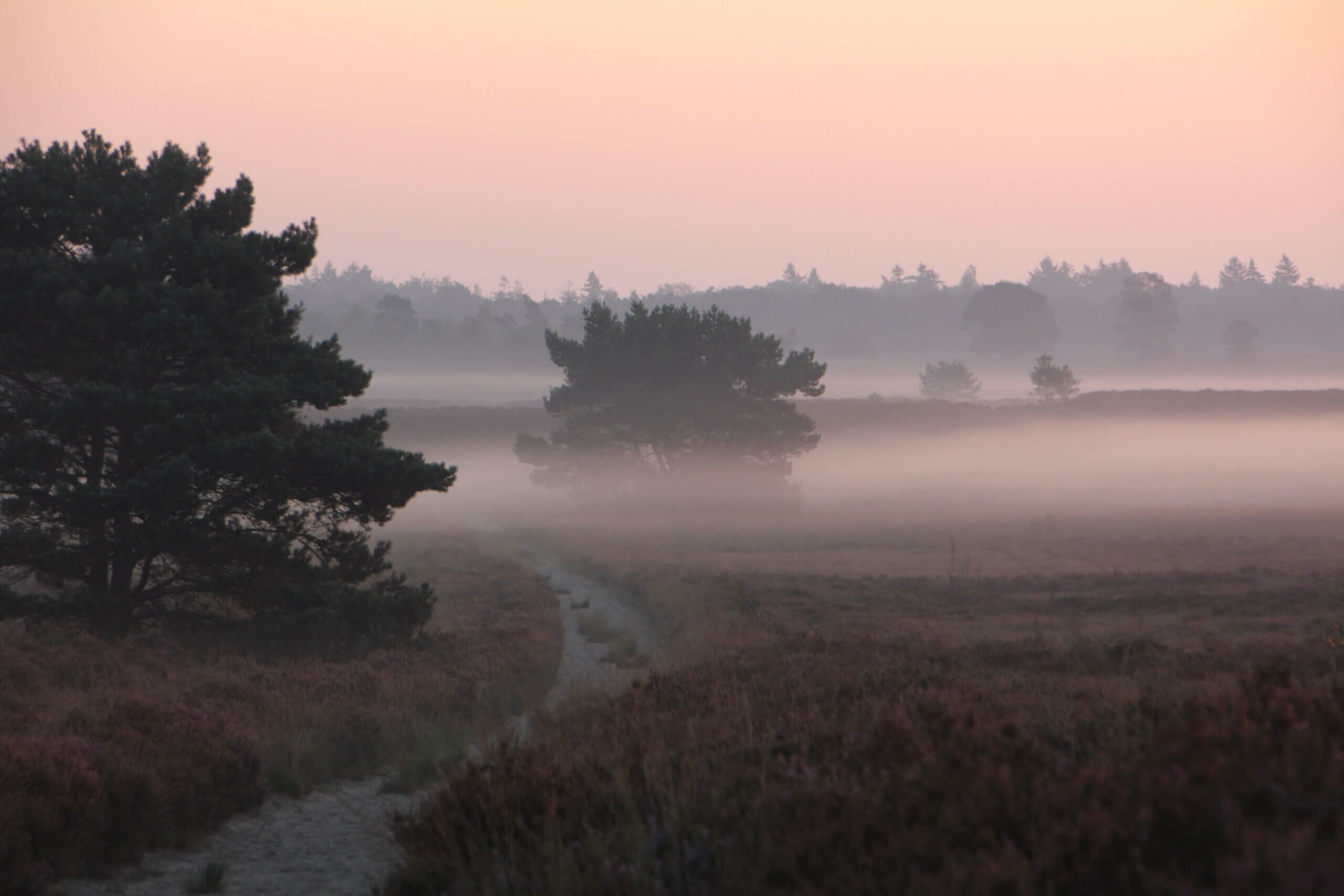 GPS natuurwandeltocht