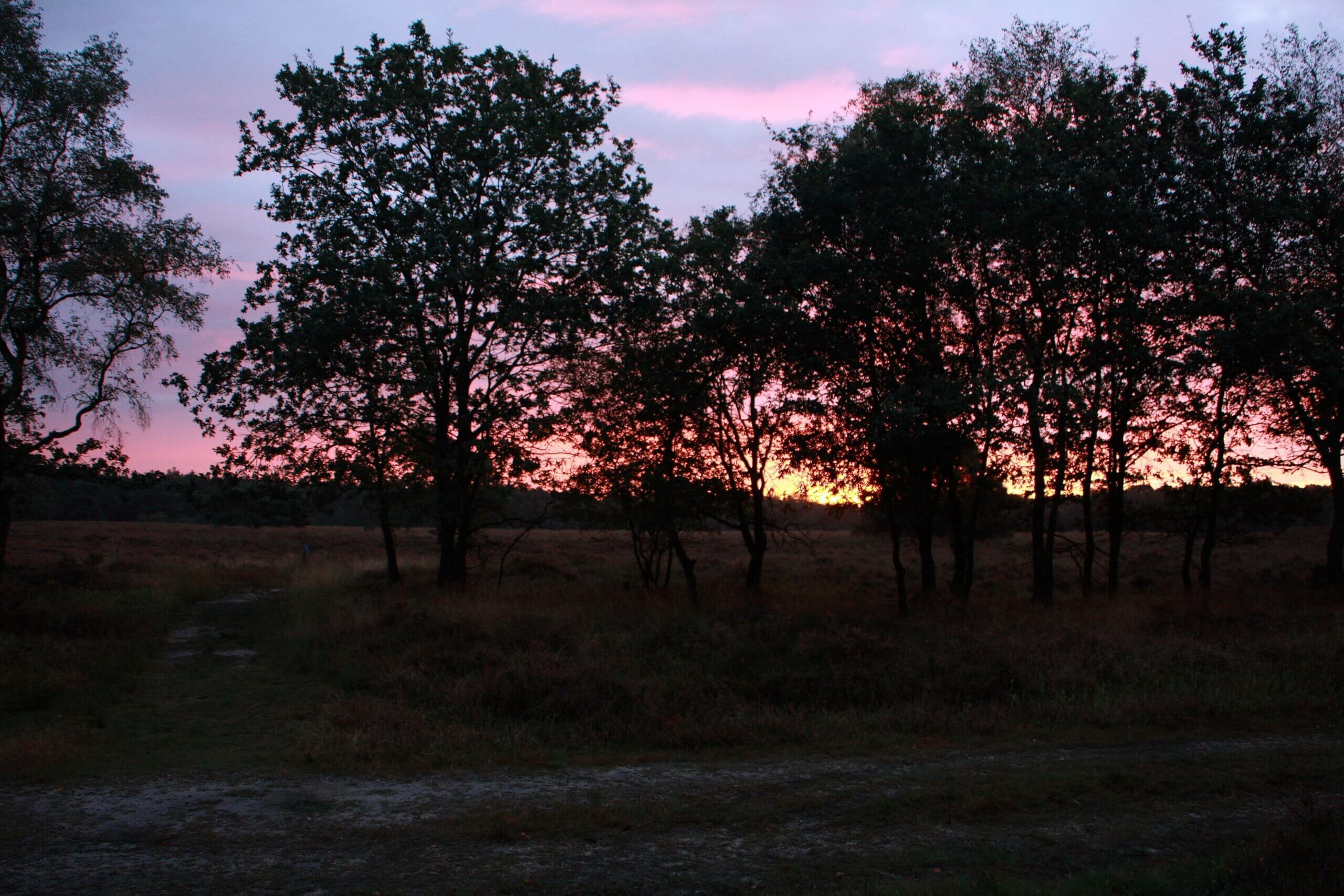 Groep mensen die het stropers mysterie speelt
